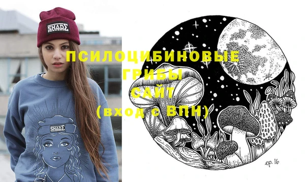 стафф Абдулино