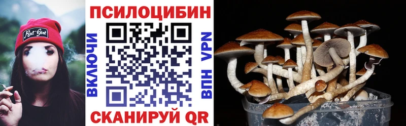 где купить наркоту  Подольск  blacksprut tor  Галлюциногенные грибы Psilocybine cubensis 
